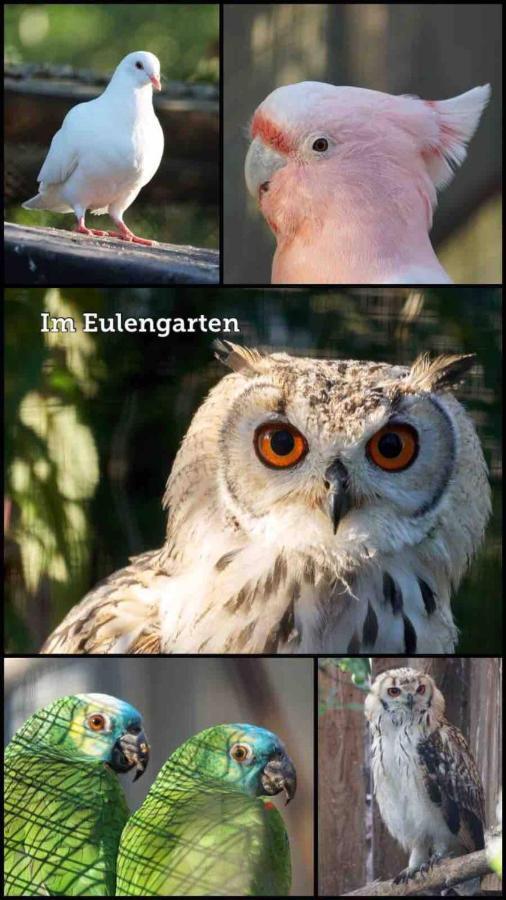 Wohnen Im Eulengarten Oranienburg Dış mekan fotoğraf