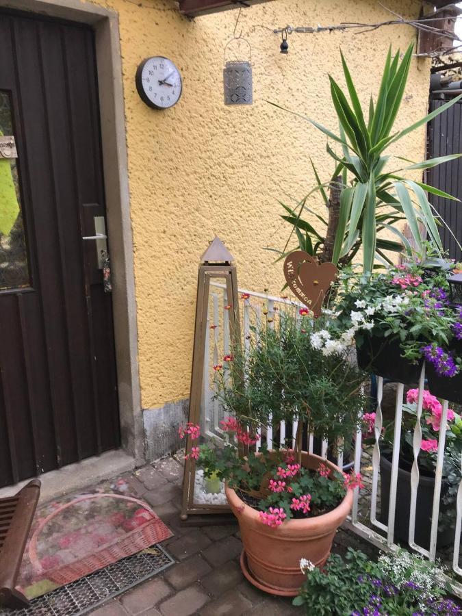 Wohnen Im Eulengarten Oranienburg Dış mekan fotoğraf